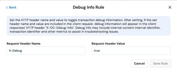 DebugInfoRule.png