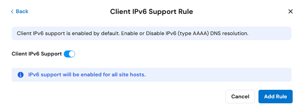 ipv6SupportRule.png
